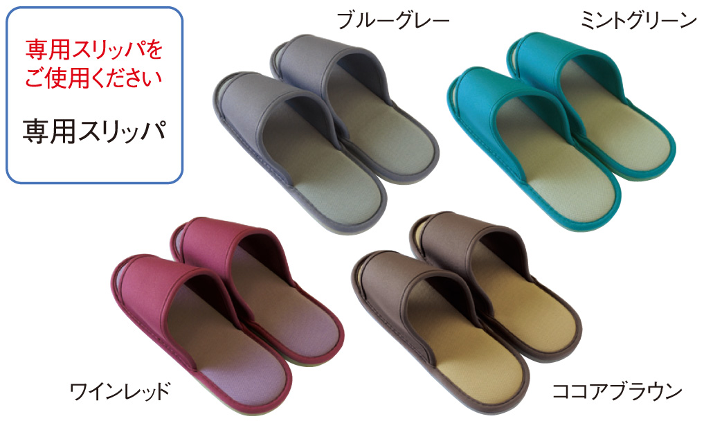 写真:SSDX