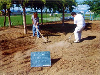 コアの敷き均し作業