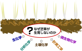 シバウラの技術で芝草の生長を阻む要因を多角的に解明！