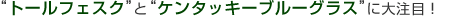 シバウラ大注目の芝草は「トールフェスク」「ケンタッキーブルーグラス」です！